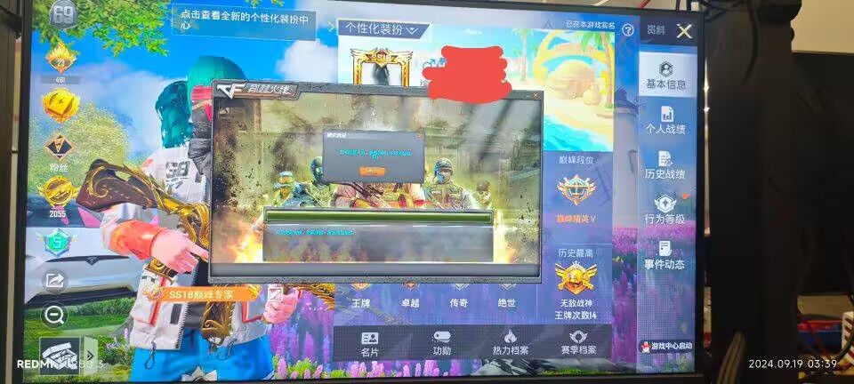 和平精英「路易威登」外挂